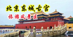 桶操欧美大屁股老女人大屁股中国北京-东城古宫旅游风景区